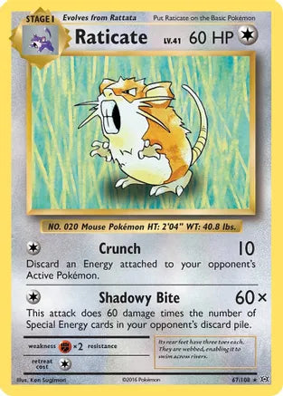 Raticate - (67/108) - [Evolutions Single]